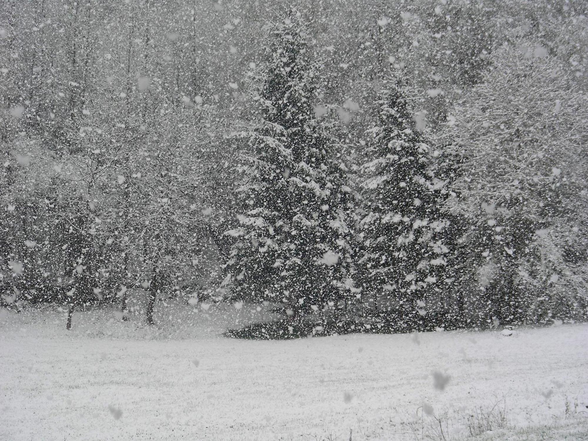 Villetta Val Di Sole Commezzadura Luaran gambar